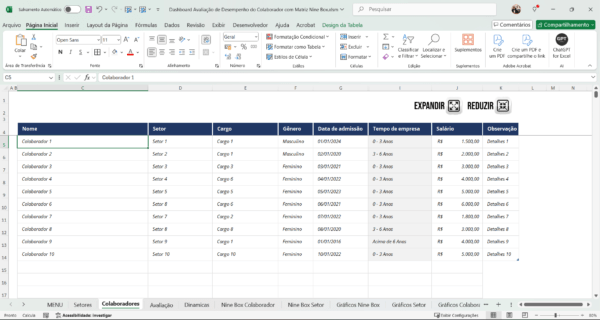 Planilha Dashboard Avaliação de Desempenho Nine Box - Imagem 5