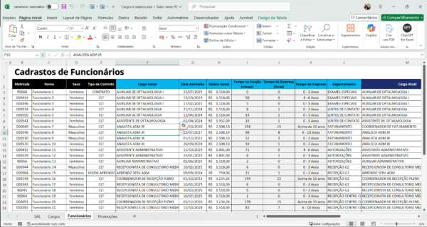Dashboard de Cargos e Salários com plano de carreira em Power BI 1.0 - Imagem 4