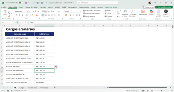 Dashboard de Cargos e Salários com plano de carreira em Power BI 1.0 - Imagem 2