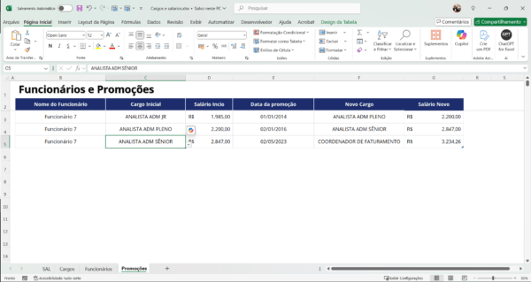 Dashboard de Cargos e Salários com plano de carreira em Power BI 1.0 - Imagem 5